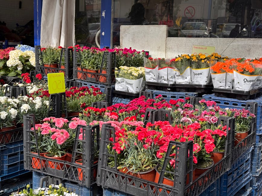 A display of potted flowering plants arranged in black plastic crates outside a flower shop. The flowers include pink, red, orange, white, and yellow blooms, with some resembling carnations and daisie